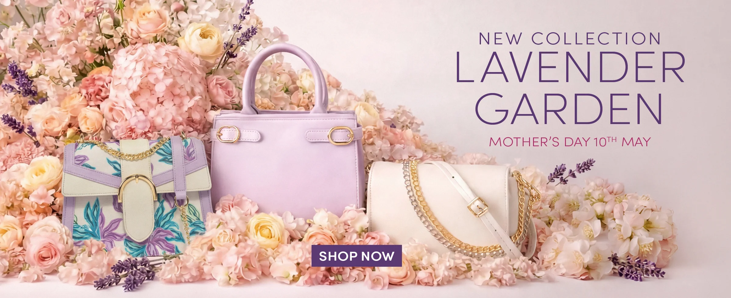 Elevate Your Style Every Day